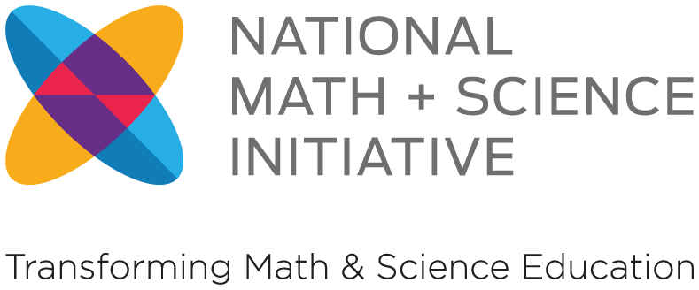 NMSI Logo